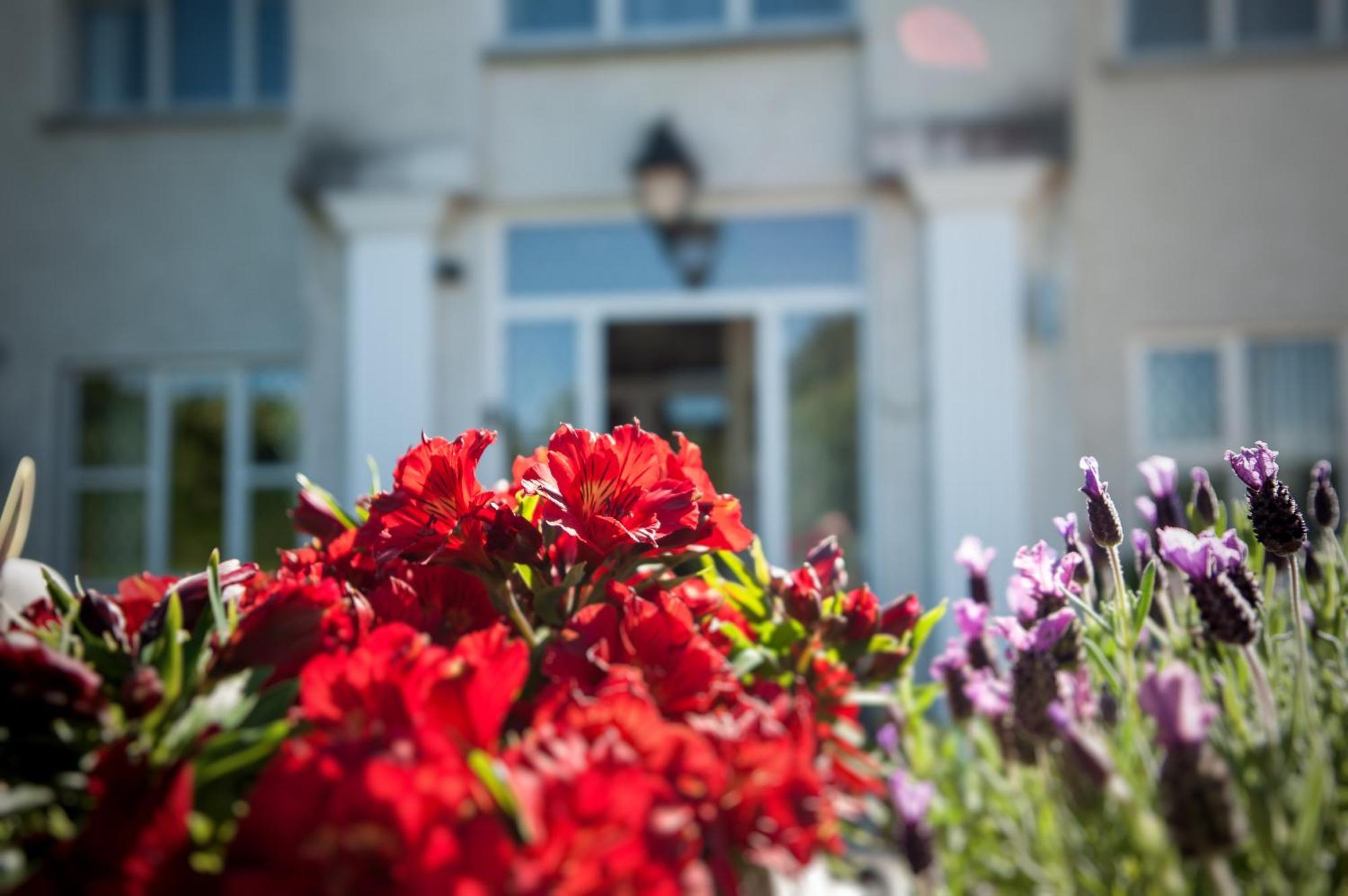Grove House Bed & Breakfast Карлингфорд Екстериор снимка